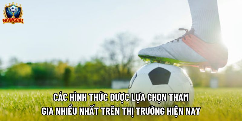 Các hình thức được lựa chọn tham gia nhiều nhất trên thị trường hiện nay Các hình thức được lựa chọn tham gia nhiều nhất trên thị trường hiện nay