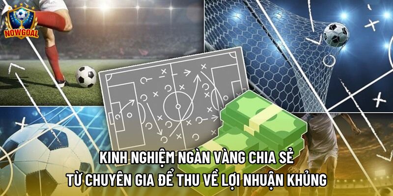 Kinh nghiệm ngàn vàng chia sẻ từ chuyên gia để thu về lợi nhuận khủng Kinh nghiệm ngàn vàng chia sẻ từ chuyên gia để thu về lợi nhuận khủng
